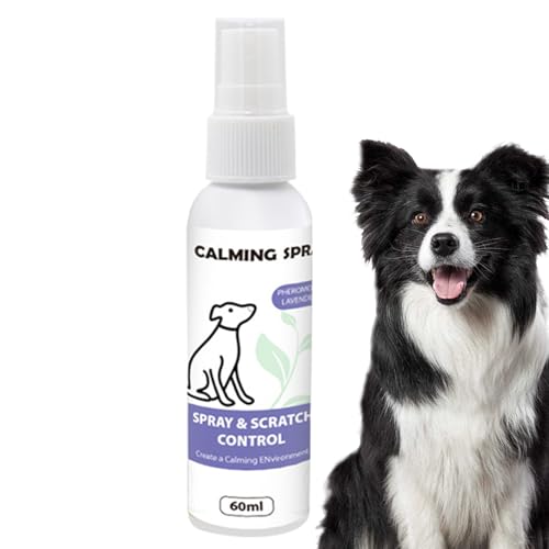 LÃXv[ spLÉtALtFXv[, 2.02 IX̎qL𗎂tF Xv[, ʓIȃg[jO⏕̂߂̍RXgXL̉₩ȃtF