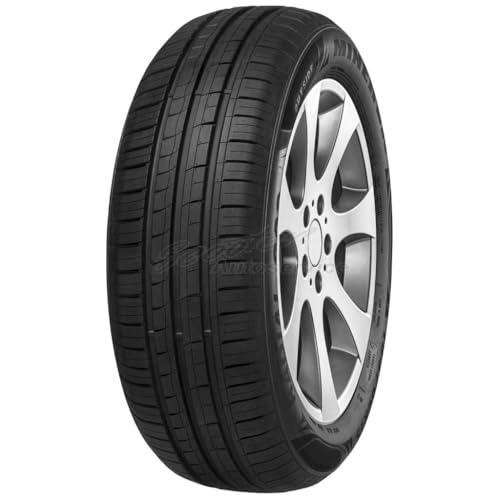 1X Minerva 209165/65R1377T