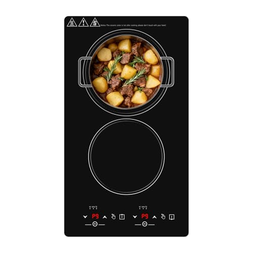 countertop burners induction