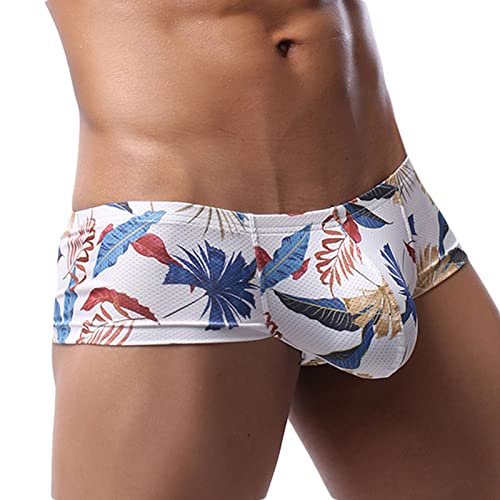 Sexy Printed Short Legs Boxer Briefs for Men, Low Rise Big Pouch Underwear, Mesh Breathable Undies Trunks