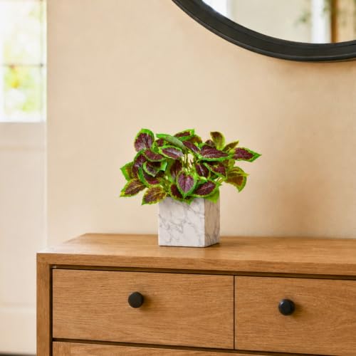 Image of fancymart Artificial Plant with Real-Touch Leaves in Pot, 25 cm, Indoor Tabletop Item for Home Decor, Office, Living Room