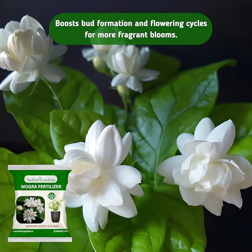 Image of Indian Gardens - Organic humic acid fertilizer for plants | Organic humic fertilizer | Soil conditioner | Plant growth booster | Root growth enhancer | (Humic, 200 Grams)