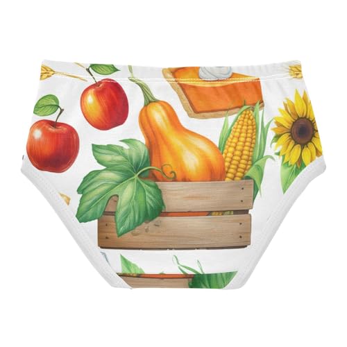 Toddler Underwear Floral 2t Cotton Cute Panties Girl Funny Briefs Undies Kids Autumn Harvest Pumpkins2