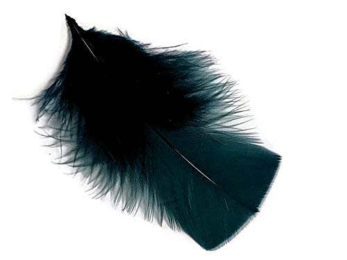 Moonlight Feather | 1 Pack - Peacock Blue Turkey T-Base Plumage Feathers 0.50 Oz. Dream Catcher, Wedding, Costume Feathers #TOP4