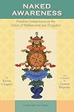 Naked Awareness: Practical Instructions on the Union of Mahamudra and Dzogchen