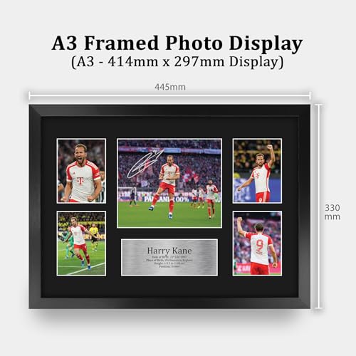 HWC Trading FR A3 Harry Kane Gedruckte Memorabilien Signiertes Autogramm Fotodisplay für Fußball Anhänger und Fans - A3 Gerahmt