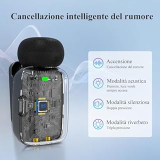 zealsound Microfono Lavalier Wireless Mini per *phone, Android, PC (USB-C/Light-ning) Riduzione del Rumore, 33H di Autonomia con Custodia di Ricarica, Ideale per TikTok, Podcast, ASMR, Video YouTube