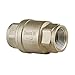 Bonomi North America S800-3/4 High Capacity Spring Loaded Stainless Steel Check Valve, 800 WOG, FNPT Threaded with P.T.F.E. Seat
