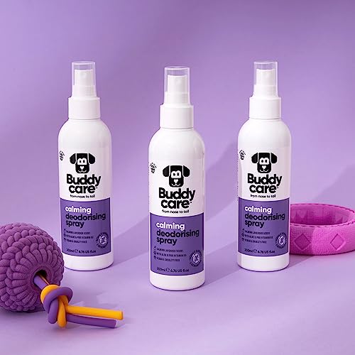 Buddycare Hunde-Desodorierungsspray – Lavendel – Beruhigendes Desodorierungsspray für Hunde – mit Aloe Vera und Pro-Vitamin B5 (200 ml, 1 Stück)