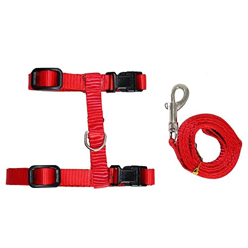 Coleira Peitoral Gato Pet Guia Com Regulagem Confortável (Vermelha)