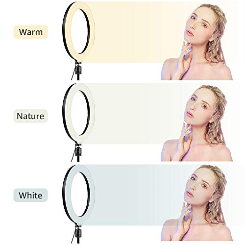 10\'\' Selfie Ring Light - LED Ring Light with Tripod Stand, Adjustable Phone Ring Light Compatible with iOS & Android Phones for Live Video, Makeup, Photography and Vlog Creation
