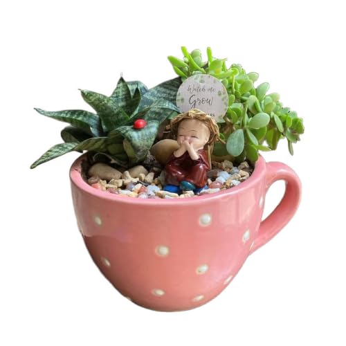Modern Cup Random ColorStyle Flower Pot – Ceramic Planter for Indoor Plants, | Decorative Plant Pot for Home, Office, Cute Cup Style Flower Pot for Succulents, Cactus, and Indoor Home Décor-image-28