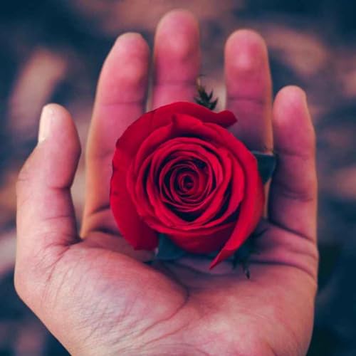 Manners - Meditation with God (FR) - Episode 2