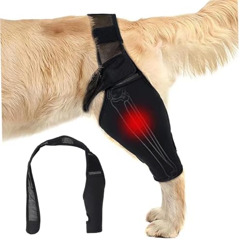 KUYYFDS Dog Leg Sleeve, Abrasion Resistant Dog Recovery Suit, Back Leg Recovery Sleeve Waterproof Diving Material Suit to Stop Licking and Biting Firm and Secure