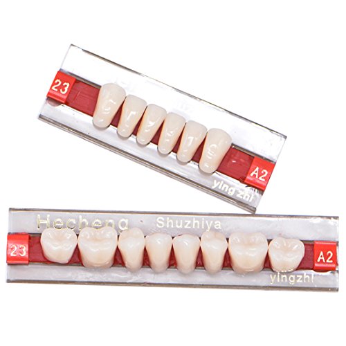 Angzhili 84 Pcs Dental Complete Acrylic Resin Denture False Teeth 3 Sets Synthetic Polymer Resin Denture Teeth 23 Shade A2 Upper + Lower Dental Materials #TOP4