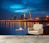 Wall Mural St Louis Downtown...