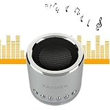NEW Kd-mn02 Portable Mini Music Speaker Sd USB Fm for Pc Mp3 Player Silver