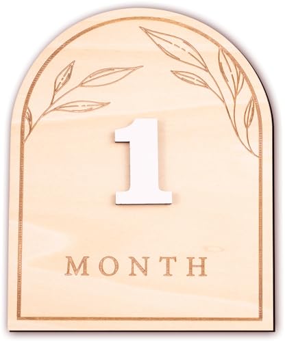 Baby Monthly Milestone, Wooden Baby Milestone Signs, Monthly Milestone Wood Discs, Baby Milestone Discs (Boho)