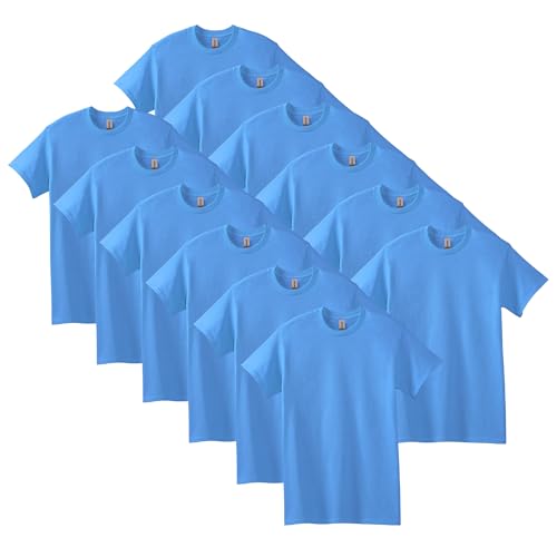 Gildan Adult Heavy Cotton T-Shirt, Style G5000, Multipack, Carolina Blue (12-Pack), Small