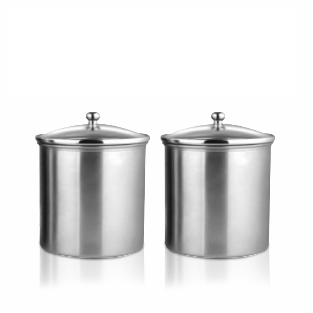 Shri & Sam Stainless Steel Storage Canister, Set of 2, Silver