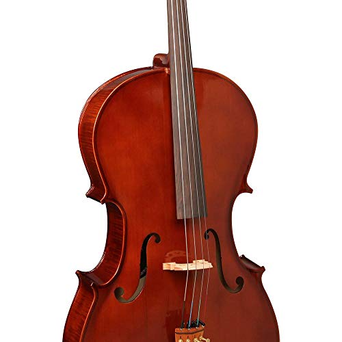 Violoncelo Hofma Hce100 4/4 Capa Arco Cello Violoncello