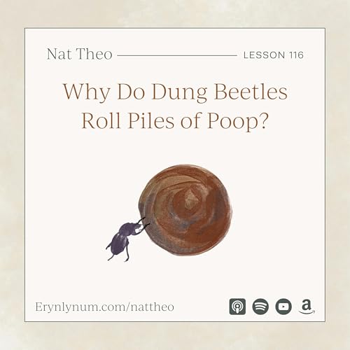 Why Do Dung Beetles Roll Piles of Poop? Lesson 116