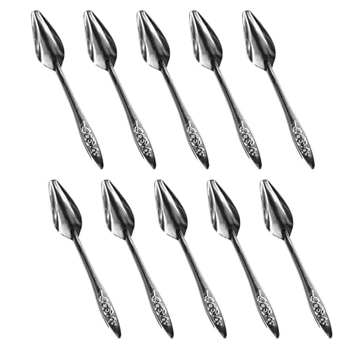 Metal Bird Feeding Spoon - 10 Pcs Stainless Steel Parrot Feeder Set | Milk & Medicine Feeding Spoons for Parrots, Budgies, Cockatiels, Pet Birds, Animal...