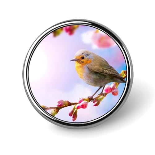 sobW u[`    t i sob` obW ANZT[ ی^  蕨 Mtg v[g