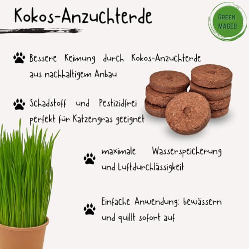 Green MaGeo 5er Set Katzengras Samen - Gras Anzuchtset für Katzen - Gras zum Fressen für die Katze - 5X Katzengrassamen Set - Katzengras für Balkon und Wohnung