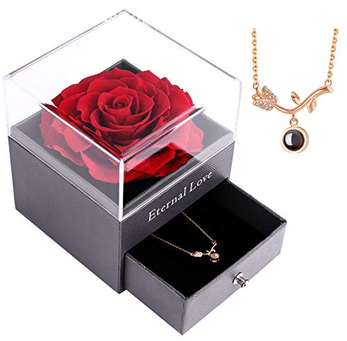 Real Preserved Rose - Eternal Rose Gift Box with 100 Languages Love You Necklace, Handmade Fresh Rose Gift for Her on Birthday,Christmas,Mother's Day,Valentine's Day (with Rose Gold Rose Necklace)
