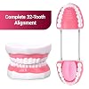 Ultrassist Ultrassist Mouth Model Metal Hinge for Speech Therapy, Ideal Brushing Teaching Dental Teeth Model for Kids and Children, 6 Times Enlarge, Includes Toothbrush