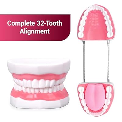 Ultrassist Ultrassist Mouth Model Metal Hinge for Speech Therapy, Ideal Brushing Teaching Dental Teeth Model for Kids and Children, 6 Times Enlarge, Includes Toothbrush