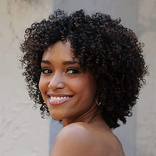 Zhenlisi Dark Brown Color Afro Kinky Curly Short Curly Human Hair Wigs Brazilian Virgin Hair Wigs For Black Women(2#) #TOP1
