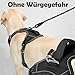 Funfox Hundegeschirr Mittelgroße Hunde [M] - Verstellbares Anti-Zug Brustgeschirr mit Griff & Reflektorstreifen, Atmungsaktives No Pull Hundegeschirr für Grosse/Kleine Hunde Outdoor Schwarz