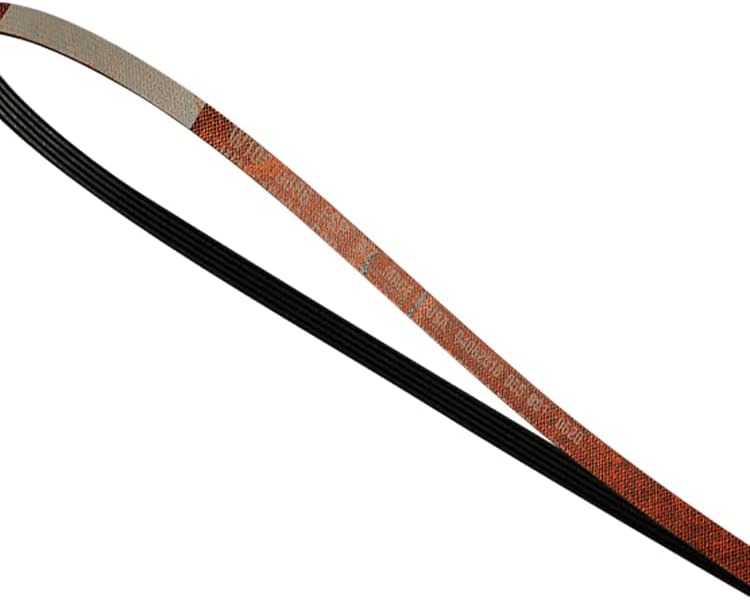 ForeverPRO W11162091 Cinturón para secadora de hidromasaje