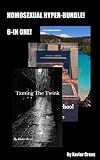 Homosexual Hyper-Bundle! 6-In One!: (Gay, Twink, Romance) (English Edition)