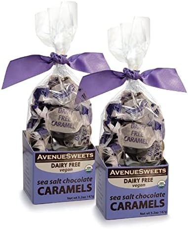 AvenueSweets - Handcrafted Dairy Free Vegan Individually Wrapped Soft Caramels - 2 x 5.2 oz Boxes - Sea Salt Chocolate