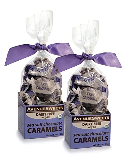 AvenueSweets - Handcrafted Dairy Free Vegan Individually Wrapped Soft Caramels - 2 x 5.2 oz Boxes - Sea Salt Chocolate