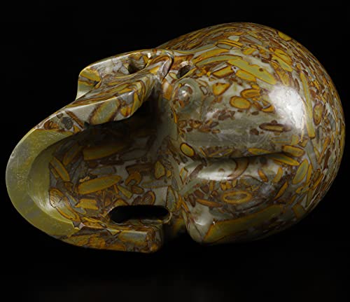 Skullis 5.0" Bamboo Stone Crystal Skull, Hand Carved Gemstone Fine Art Sculpture, Reiki Healing Stone Statue. #TOP6