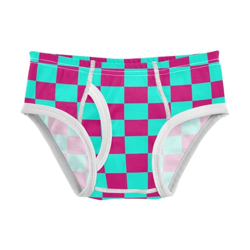 Teal and Pink Buffalo Checkered Toddler Boy's Underwear 2T