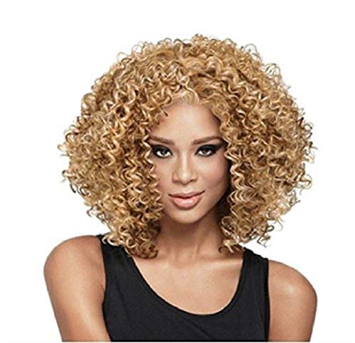 Longlove Female Black Wig Small Roll Wig Explosion Africa (Image)