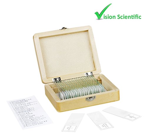 Vision Scientific VS25 Piece Slide Set, 25 Prepared Glass Microscope Slides, General Biological/Scientific