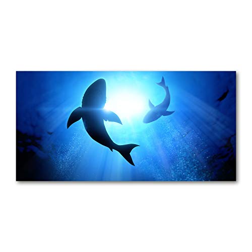 Crédence de cuisine en verre trempé 140x70 cm bleu motif deux requins Tulup