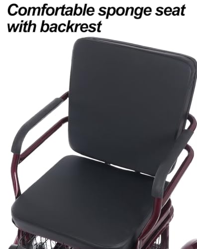 Triciclo 16 pulgadas para adulto miniatura 3