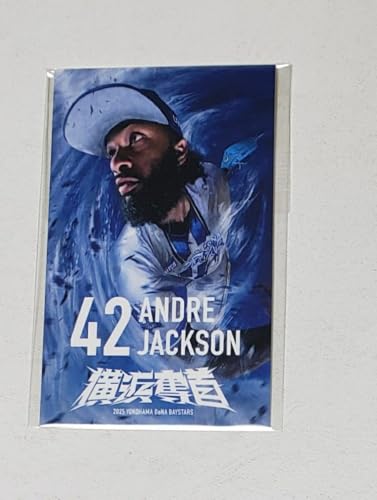 lDeNAxCX^[Y J XebJ[ 2025 42.AhEWN\