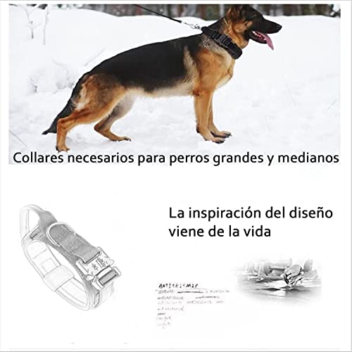 Animales, Pet Products Imagen adicional