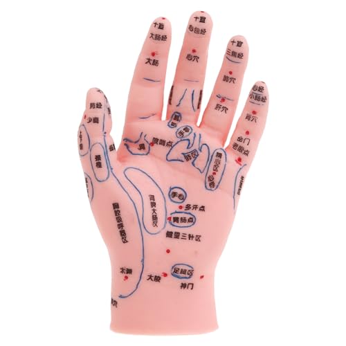 YS0911 Model Hand Foot Ear Model Human Model Human Meridians Point Chinese Medicine Massage Foot Reflexology Model