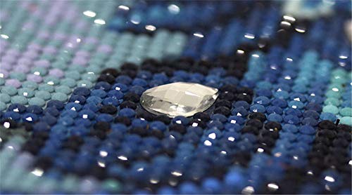 Railonch Large 5D Diamond Painting Kits For Adults, Full Drill Diy Diamond Painting By Number Kits Peacock Pictures Arts Craft For Home Wall Decor #TOP5