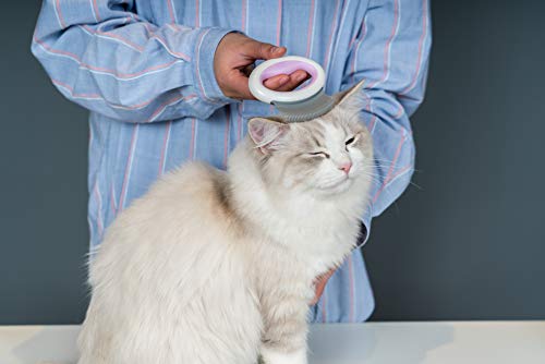 Kukerose Cat Comb, Cat Grooming Comb, Cat Massage Comb, Pet Short Hair Removal Massaging Tool, Cute Shell Comb for Dog Puppy Rabbit Bunny, Painless Cat Combs for Deshedding. - Image 5