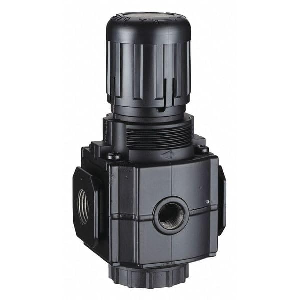 Air Regulator,1/4 in.NPT,144 cfm,300 psi